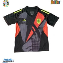 Spania Keeper Bortedrakt EM 2024 Kortermet